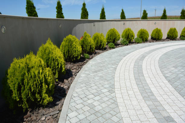 Best Driveway Paving Near Me  in USA